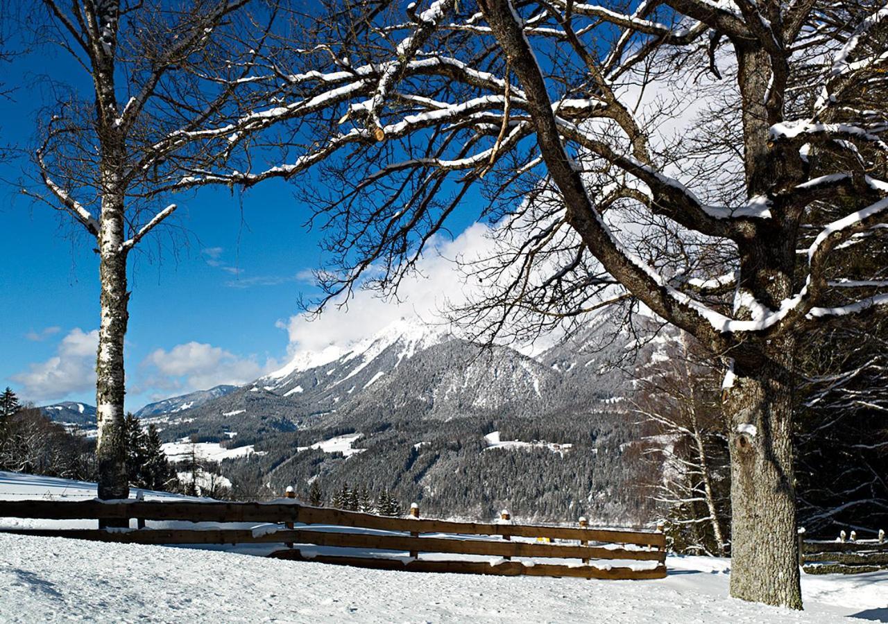Appartamento Haberlhof Haus im Ennstal Esterno foto
