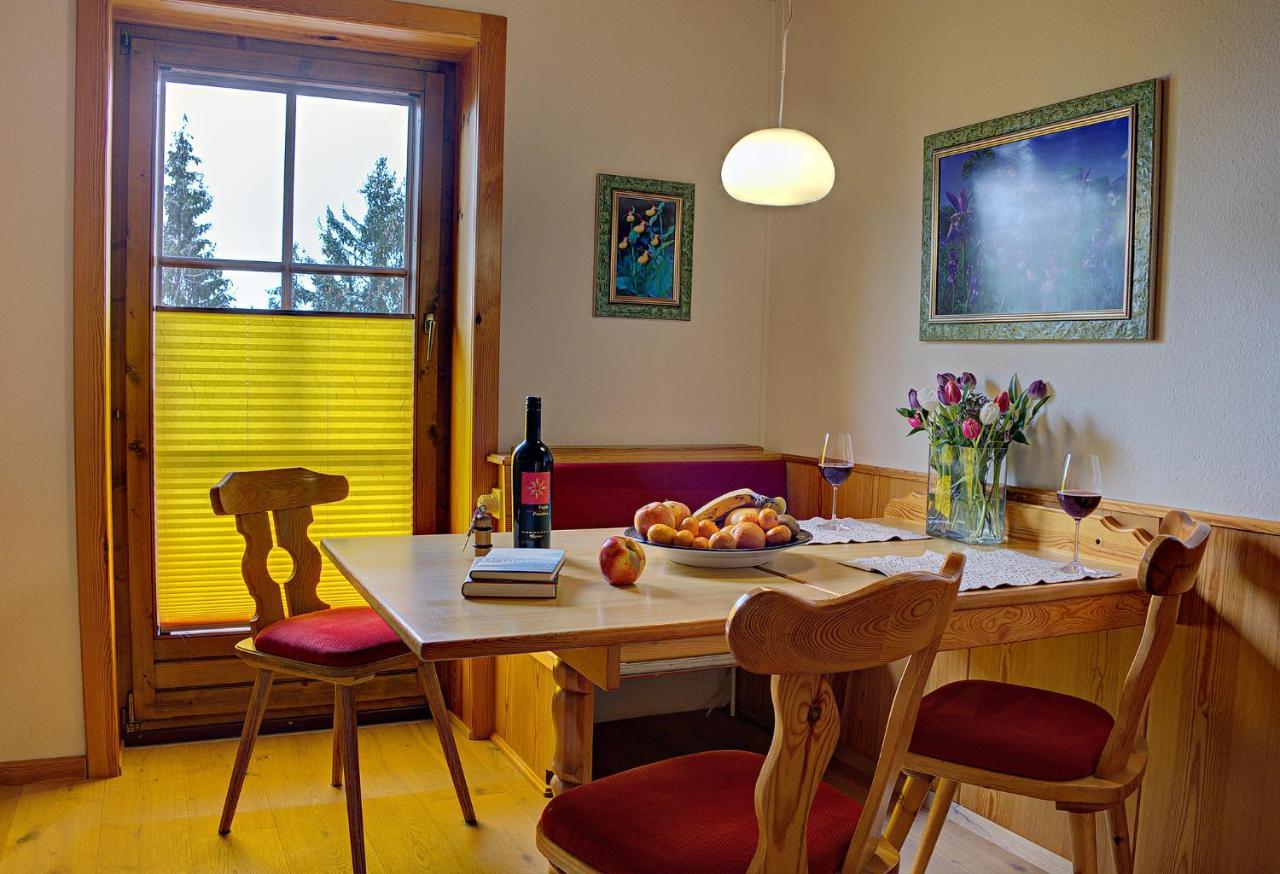 Appartamento Haberlhof Haus im Ennstal Esterno foto